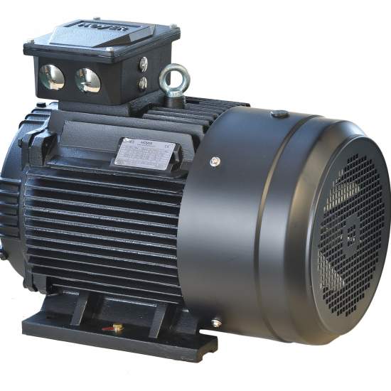 produkt/hoyer-motor-cast-iron